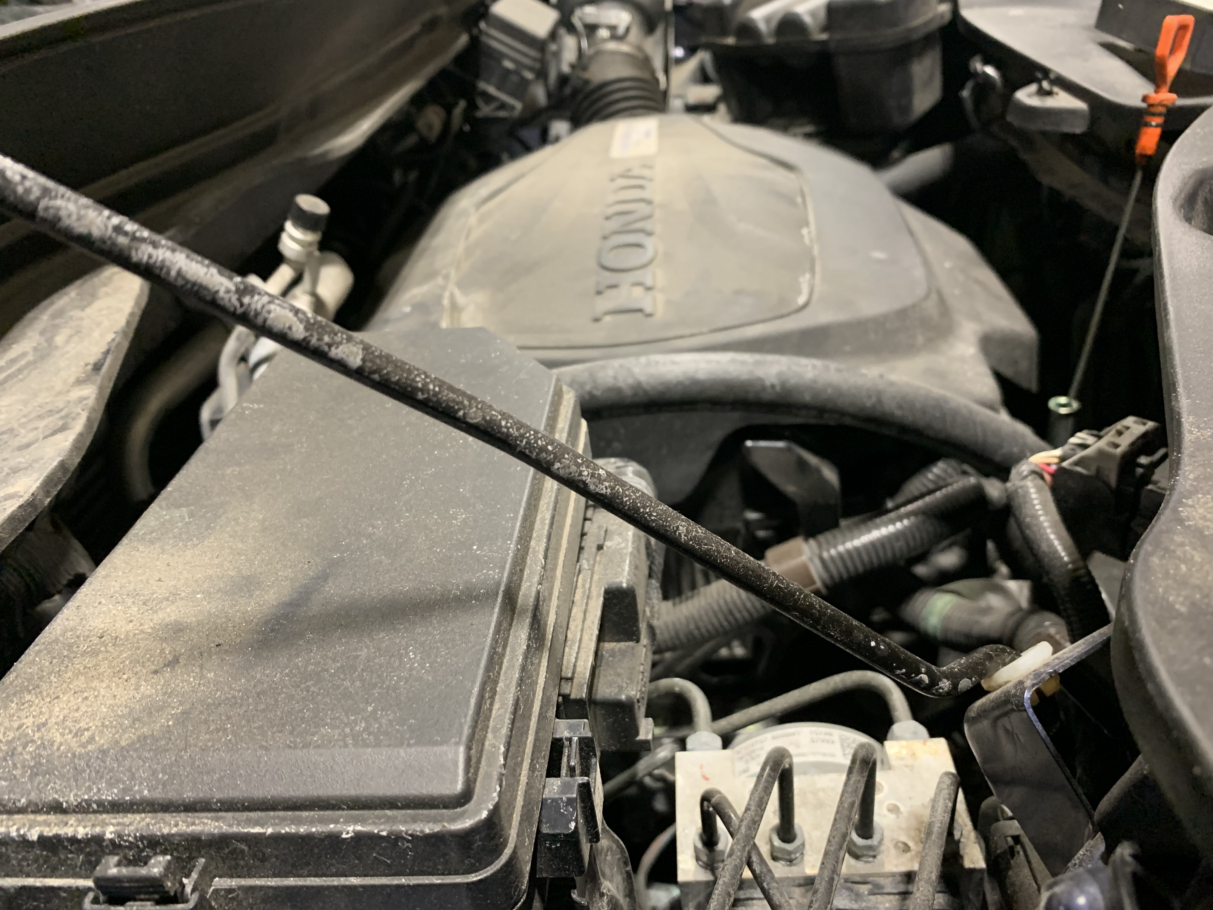 Under the Hood of a Vehicle | Lou's Car Care Center, Inc.